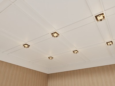 Ceiling lamp model