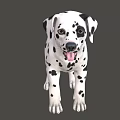 Cute Dalmatian Puppy With Black Spots And Tongue Out Looking Playful