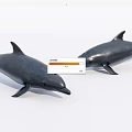 Two Realistic Gray Dolphins Aquatic Animals Swimming in White Background