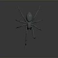 Realistic Gray Spider 3D Model With Detailed Legs And Smooth Surface