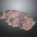 Modern Natural Scene With Rough Rock Mound Small Green Plants Natural Texture And Gray Background