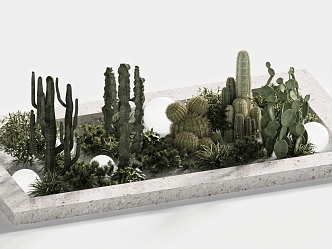 Modern landscape cactus ball green plant landscape sketch 3d model