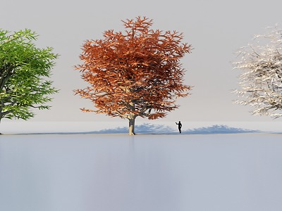 High Precision Four Seasons Plant Broadleaf Tree Snow Tree Autumn Tree Broadleaf Tree Maple 3d model