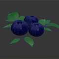 Organic Fresh Ripe Blueberries With Green Leaves On Dark Background