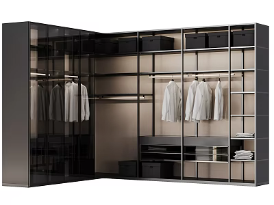 Modern Wardrobe Interior Design With Glass Doors Hanging Clothes Drawers And Shelves 3d model