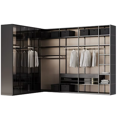 Modern Wardrobe Interior Design With Glass Doors Hanging Clothes Drawers And Shelves 3d model
