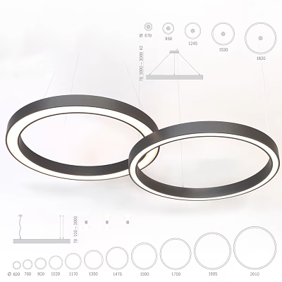 Modern Circular Pendant Lights With Double Rings And Sleek Design Details 3d model