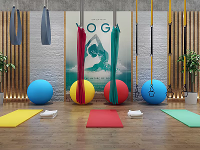 Yoga Fitness Sports Equipment Featuring Colorful Suspension Straps Yoga Balls And Mats 3d model