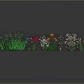 Various Garden Plants With Green Grass And Colorful Flowers In Different Forms