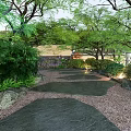 Serene Natural Garden Landscape With Stone Path Green Plants Trees And Rocks