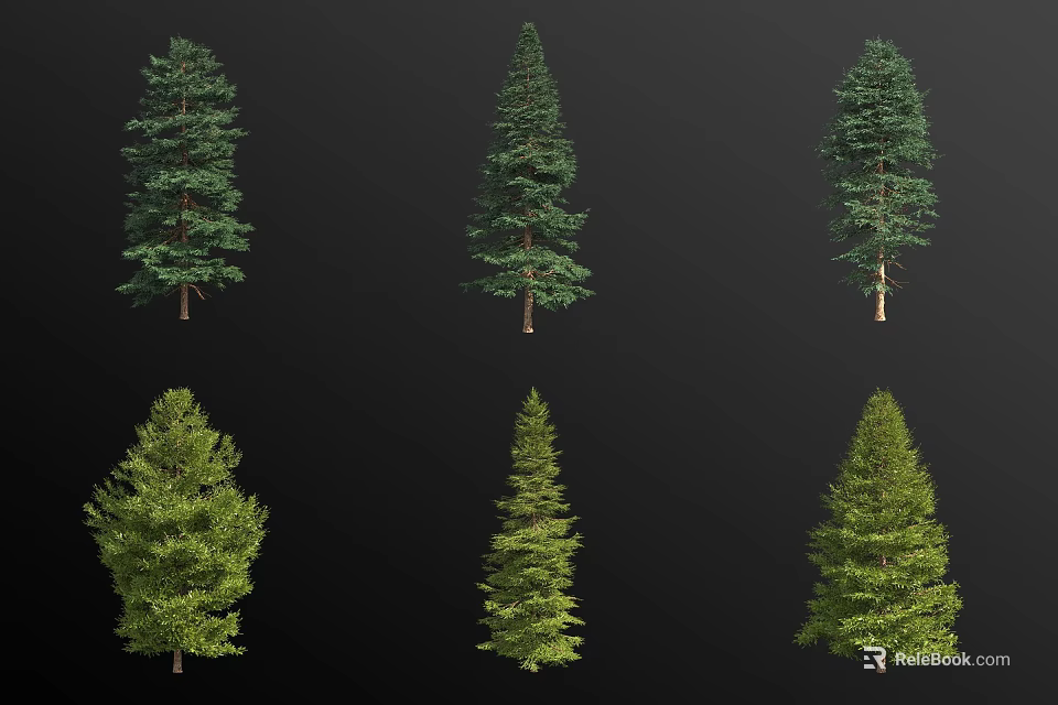Various Types Of Coniferous Trees With Green Foliage And Different Shapes 3d model 