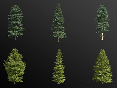 Various Types Of Coniferous Trees With Green Foliage And Different Shapes 3d model