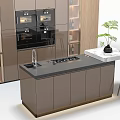 Modern Kitchen Interior With Sleek Cabinets Island Countertop Appliances And Potted Plant
