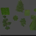 Trimmed Garden Shrubs in Various Shapes Like Spiral Square Conical and Round