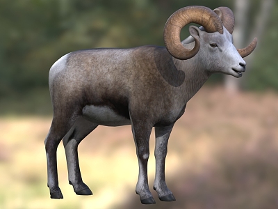 bighorn sheep wildlife model