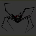Black Spider With Red Circular Abdomen And Long Legs On Gray Background
