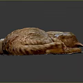 Cute Orange Cat Curled Up Sleeping On Woven Mat Against Dark Background