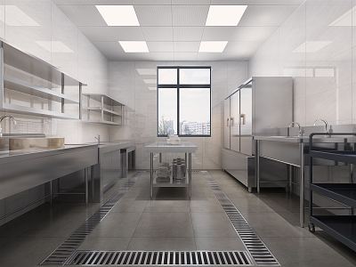 Modern Kitchen Commercial Kitchen 3d model