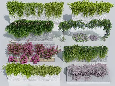 Diverse Hanging Vines And Purple Bushes Growing On Stone Walls And Planters 3d model
