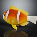 Vibrant Aquatic Animal Clownfish With Orange Body White Stripes And Yellow Fins On Dark Background