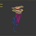 snake cobra venomous snake python reptile cold-blooded animal reptile 3d model
