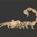 Wooden Reptile Scorpion 3D Model With Reflection On Dark Background