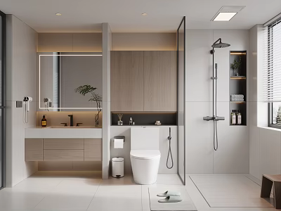 Modern Bathroom Interior Design With Vanity Mirror Toilet And Glass Shower Enclosure 3d model