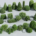 Diverse Garden Shrubs in Various Shapes and Sizes with Landscaping Stones