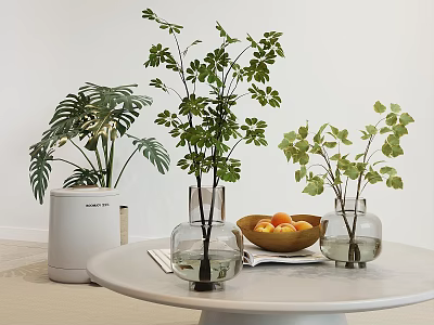 Transparent Vases with Green Leaves Home Interior Decor on White Round Table and Fruit Bowl 3d model