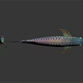 Colorful Arowana Fish with Vibrant Scales Shiny Fins Large and Small on White Background