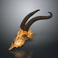 Detailed Antelope Skull Sculpture Carving With Curved Horns And Natural Texture