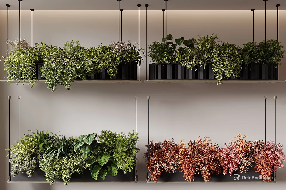 Indoor Hanging Basket Plants With Green And Red Foliage In Black Planters 3d model 