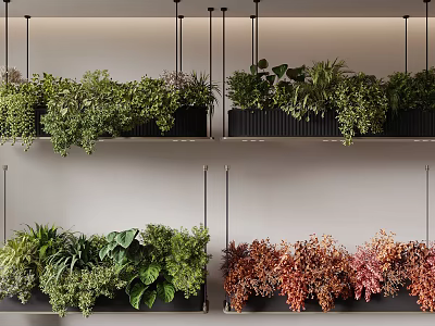 Indoor Hanging Basket Plants With Green And Red Foliage In Black Planters 3d model