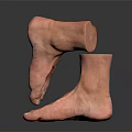 Man's Foot Anatomical Structure Showing Detailed Ankle And Toe Features On Black Surface