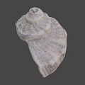 Fantasy Adventure Game Character With Detailed Conch Shell Prop Design