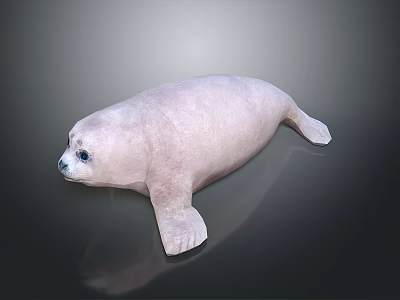 Cute Pink Seal Isolated On Black Background With Reflection 3d model
