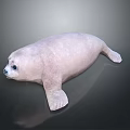 Cute Pink Seal Isolated On Black Background With Reflection