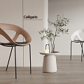 Calligaris Dining Chair Single Chair Leisure Chair 3d model