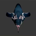 Standing Blue And White Reptile With Pink Feet And Detailed Body Texture