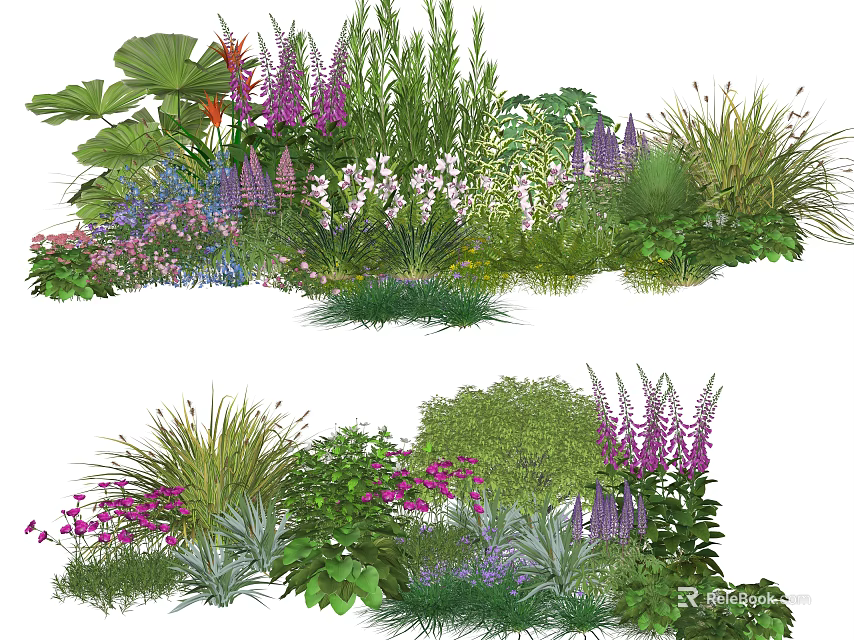 Vibrant Garden Plant Combination With Purple Pink Flowers Green Shrubs And Ornamental Grasses 3d model 