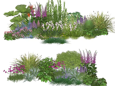 Vibrant Garden Plant Combination With Purple Pink Flowers Green Shrubs And Ornamental Grasses 3d model