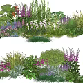 Vibrant Garden Plant Combination With Purple Pink Flowers Green Shrubs And Ornamental Grasses