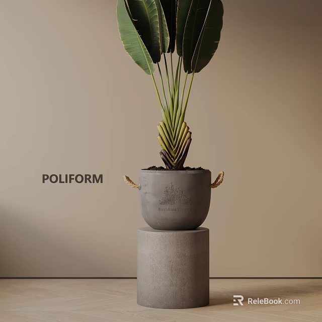 POLIFORM Potted Plant With Large Green Leaves Gray Pot Gold Handles On Gray Cylindrical Stand 3d model 