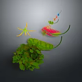 Colorful Plant Composition With Green Leaves Red Green Foliage Yellow Star Shaped Flower And Stems
