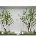 Modern landscape sketch courtyard sketch plant landscaping rockery stone indoor landscape plant pile ferns 3d model