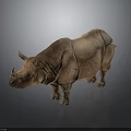 Brown Rhinoceros With Textured Skin Standing On Dark Background With Reflection