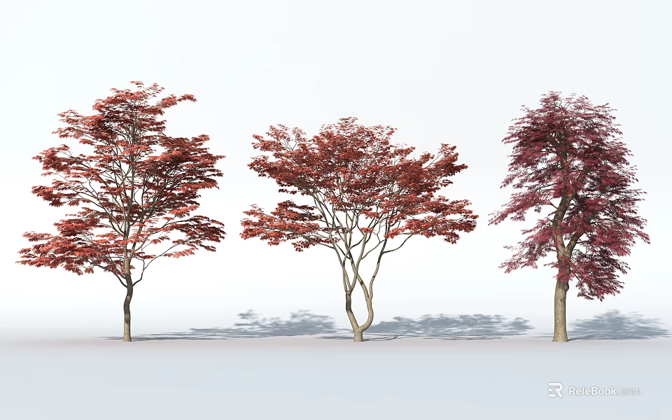 Three Arbor Trees With Red And Purple Leaves In Landscape Setting 3d model 