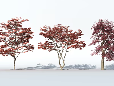 Three Arbor Trees With Red And Purple Leaves In Landscape Setting 3d model