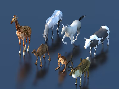Diverse Reptile Species Including Lizards Snakes Turtles And Geckos In Natural Setting 3d model