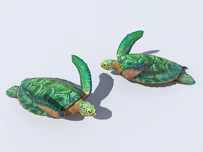 Green Sea Turtles With Vibrant Green Shells Yellow Spotted Heads And Stretching Flippers 3d model
